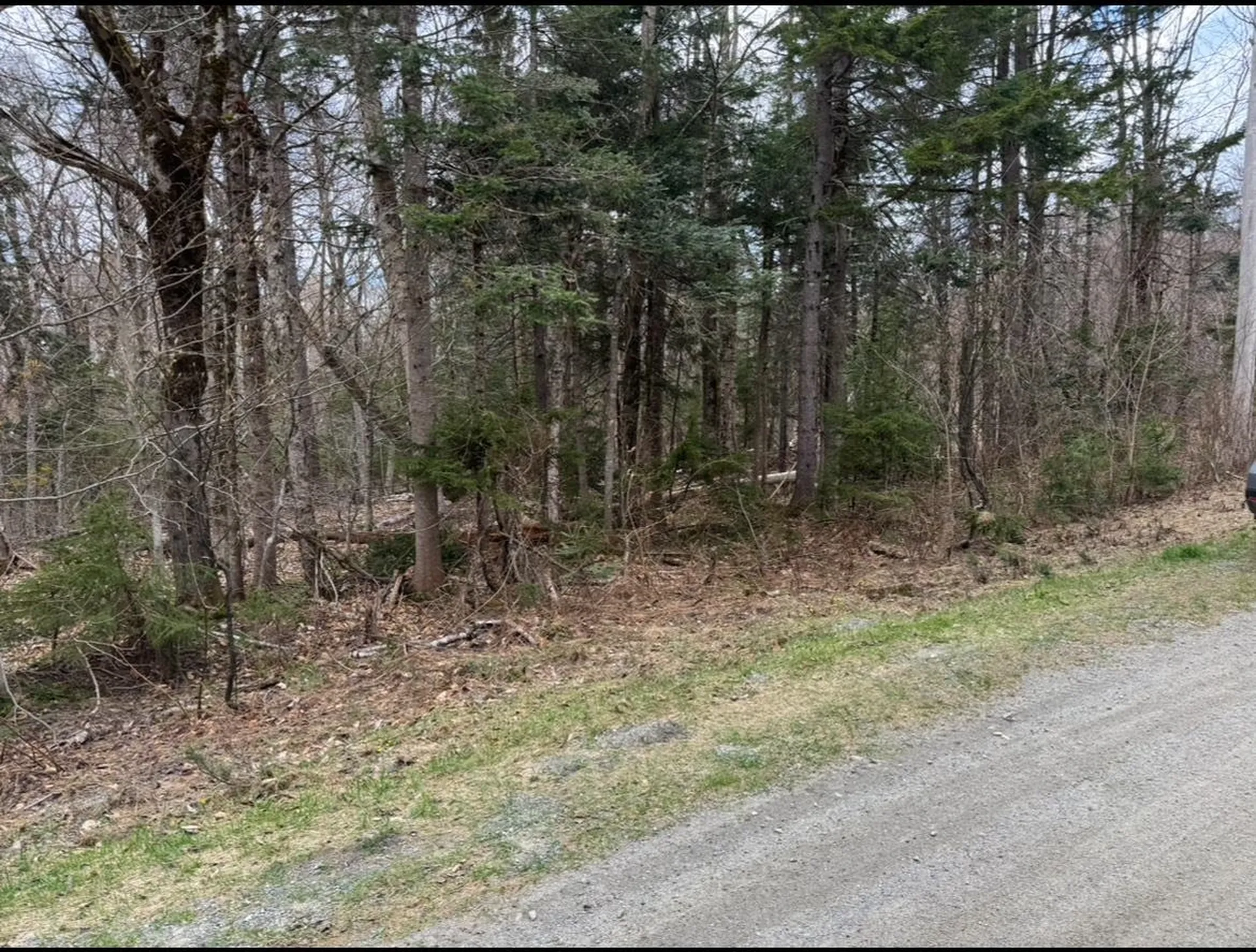 74 Antler Loop Dover VT 05356