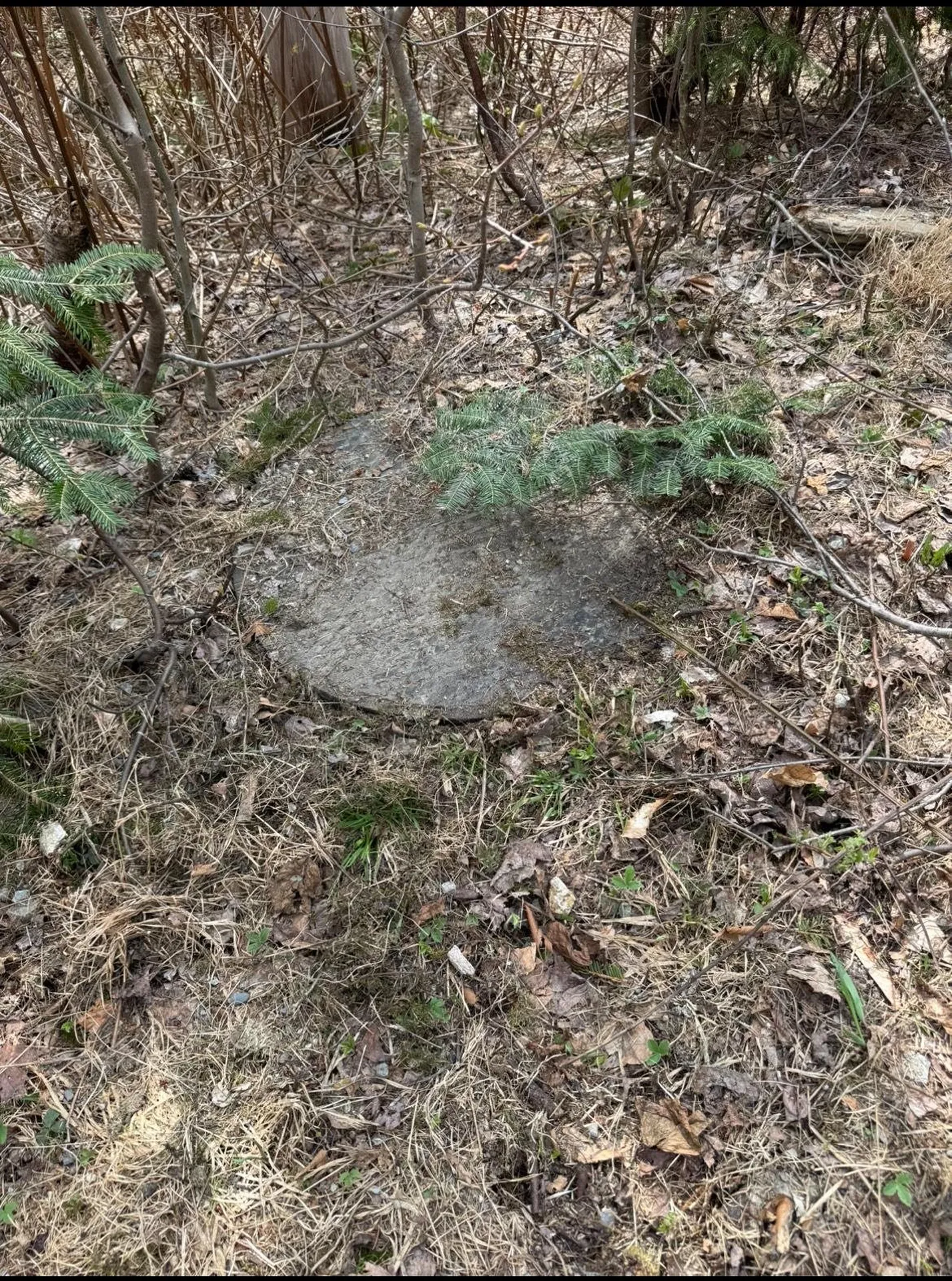 74 Antler Loop Dover VT 05356