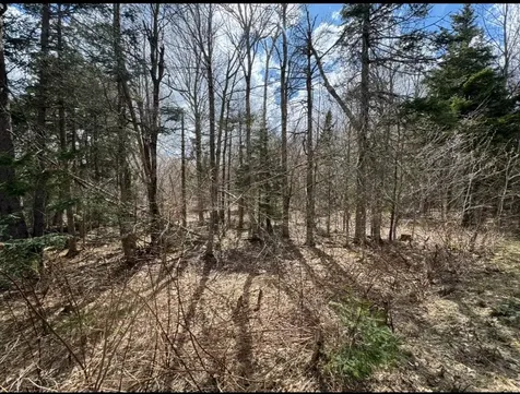 74 Antler Loop Dover VT 05356