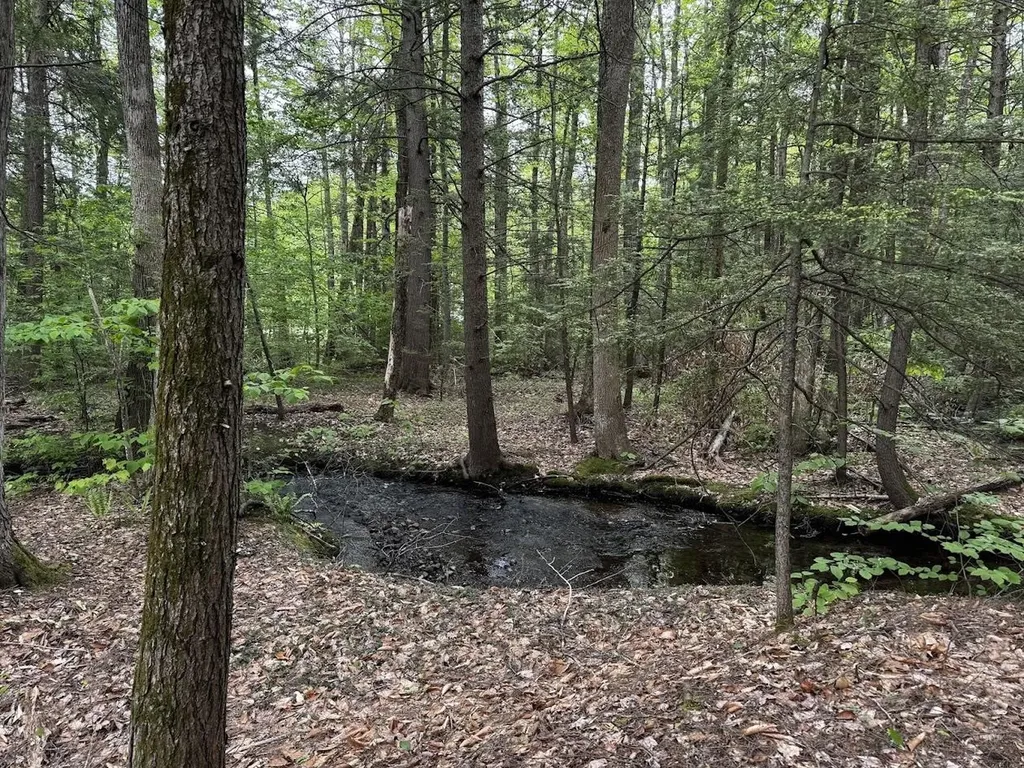 10 Irving Drive Weare NH 03281