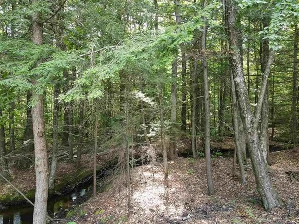 10 Irving Drive Weare NH 03281