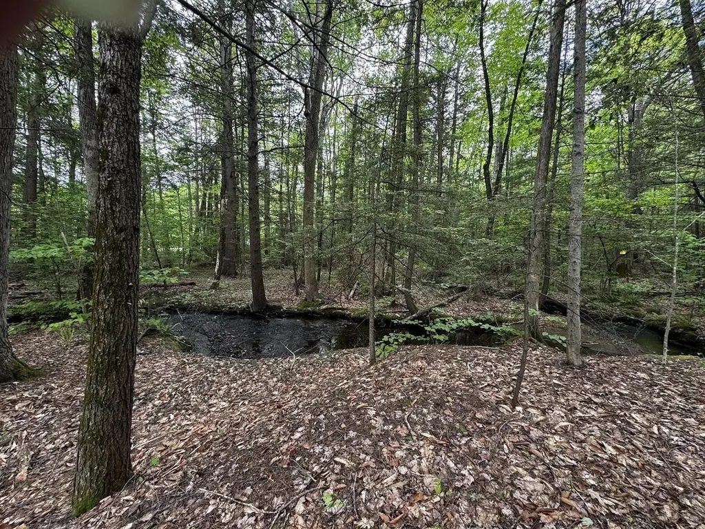 10 Irving Drive Weare NH 03281