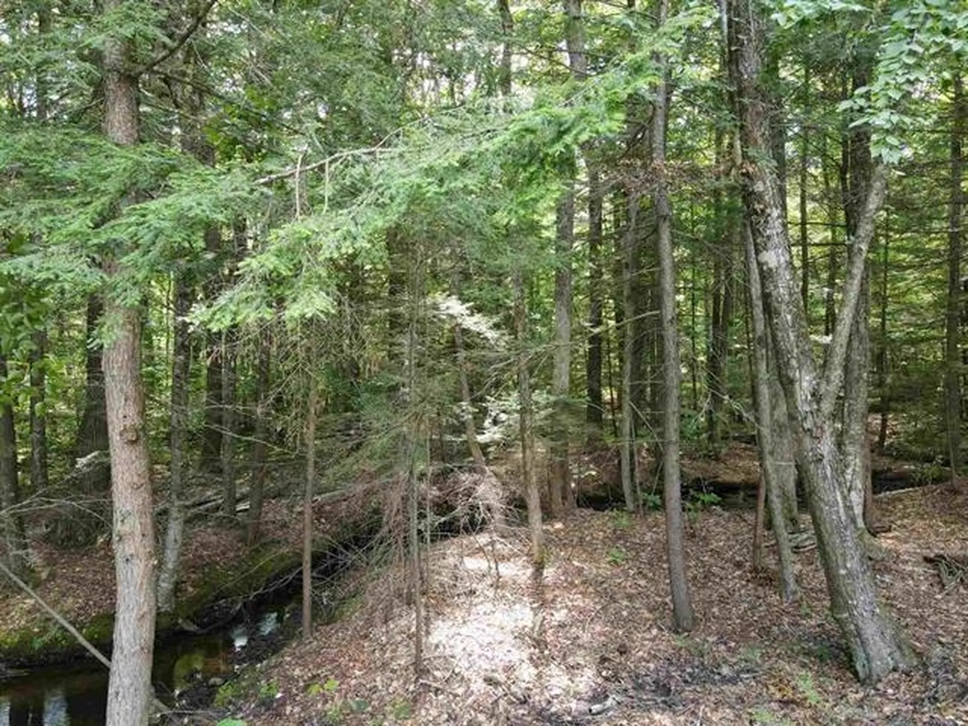 10 Irving Drive Weare NH 03281