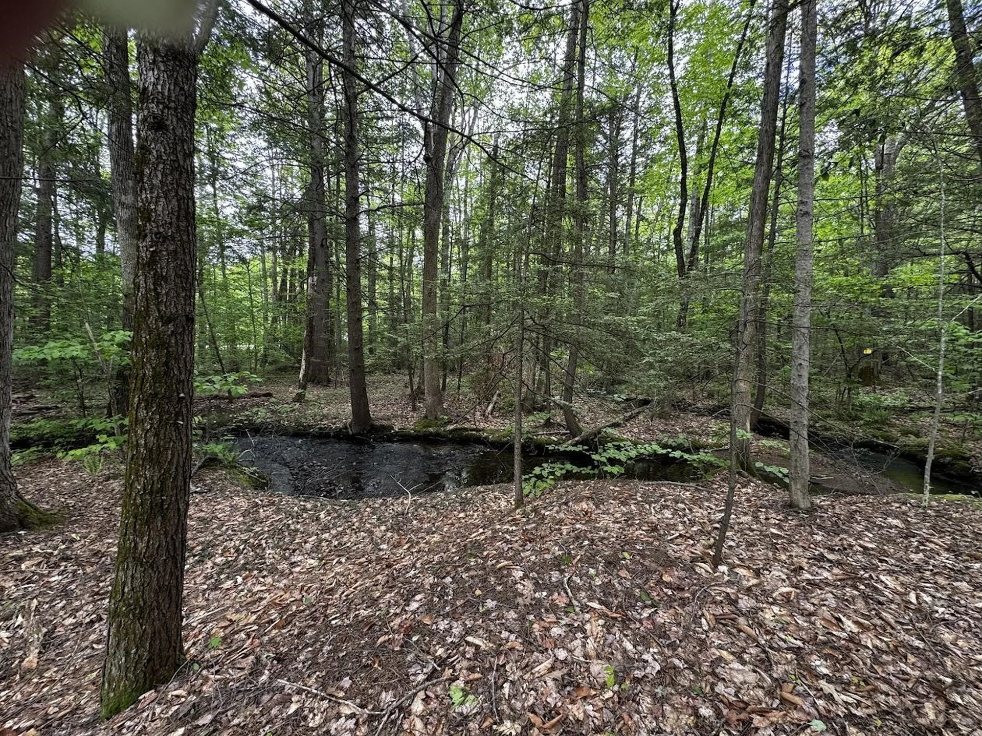 10 Irving Drive Weare NH 03281