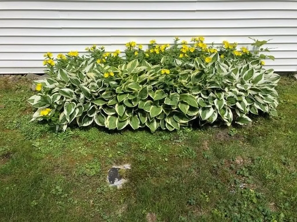 5100 Route 100 Plymouth VT 05056