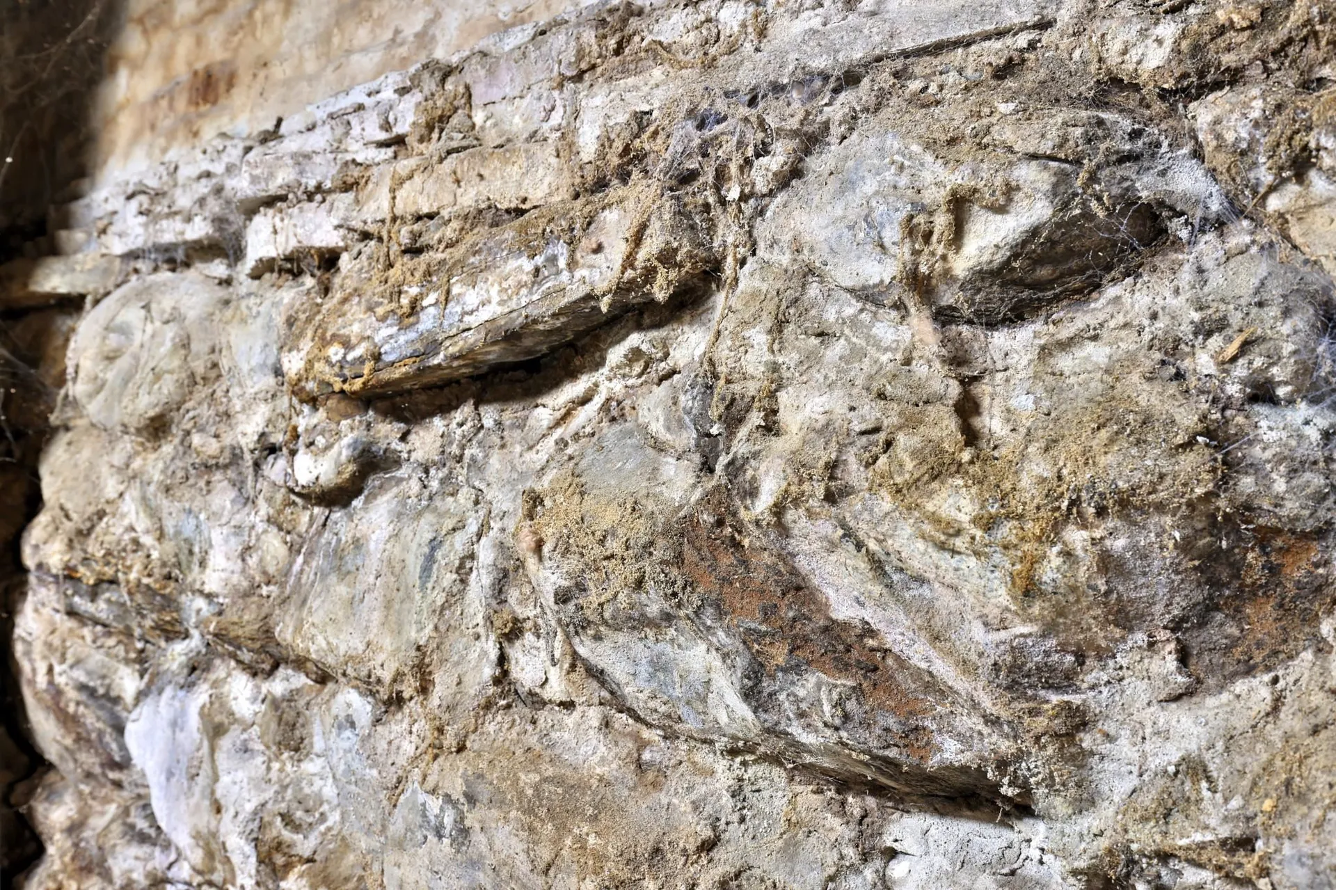 5100 Route 100 Plymouth VT 05056