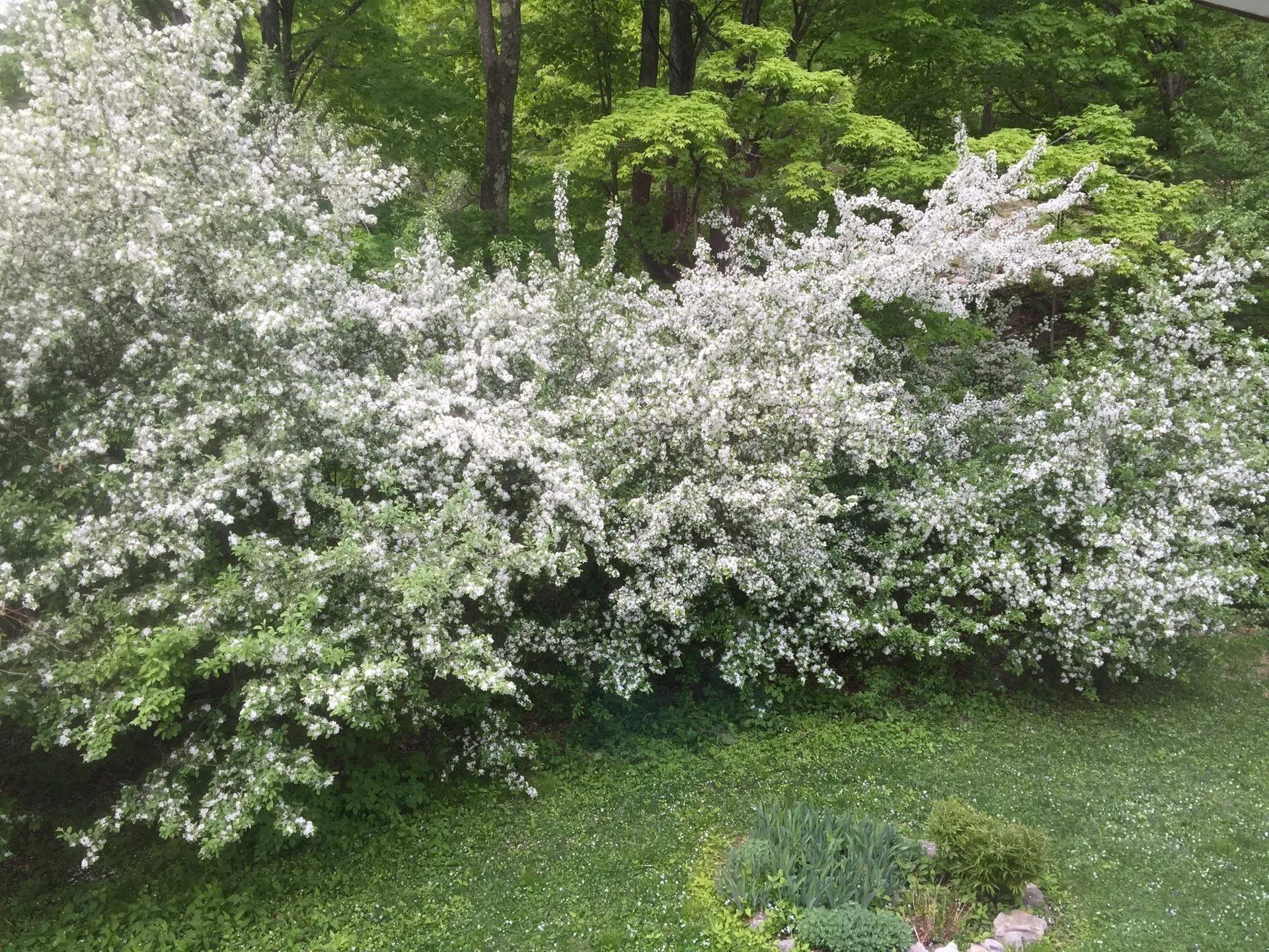 5100 Route 100 Plymouth VT 05056