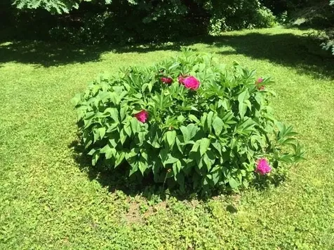 5100 Route 100 Plymouth VT 05056