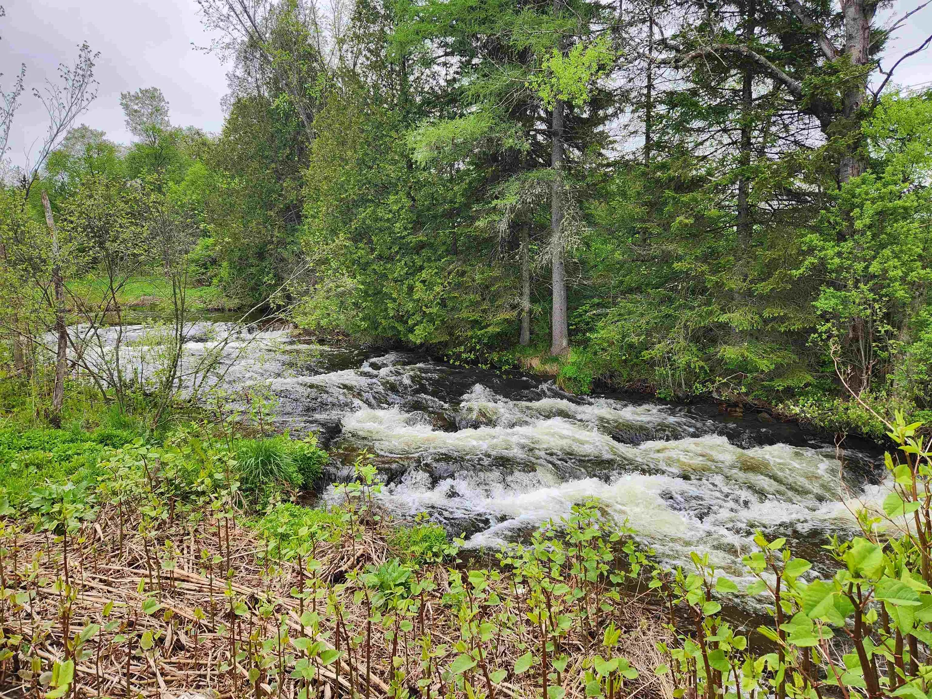 16 Northridge Road Burke VT 05871