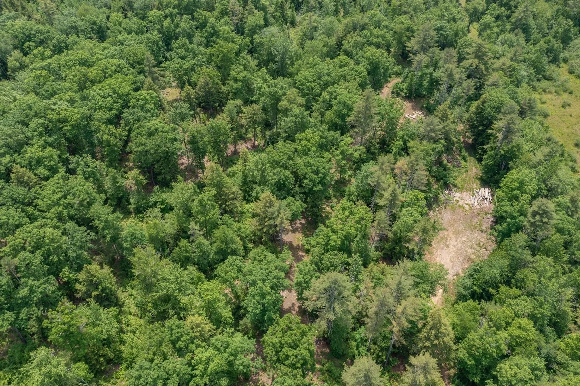 Map 101 Lot 65 Cider Hill Road Barrington NH 03825