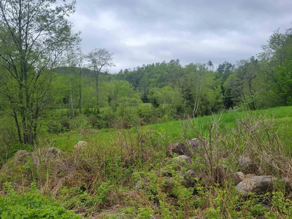 128 Old Route 110 Dummer NH 03588