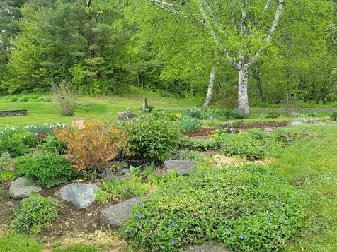 128 Old Route 110 Dummer NH 03588