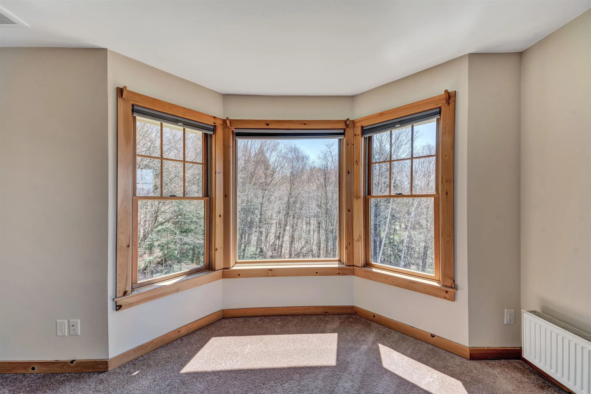 314 Campbell Road Morristown VT 05661