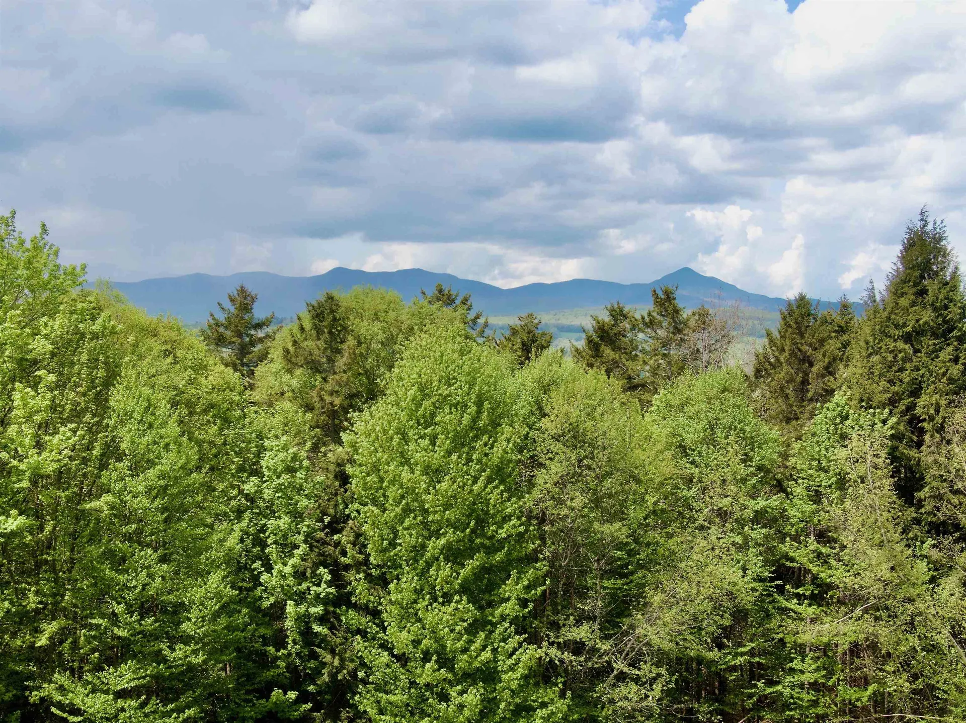 314 Campbell Road Morristown VT 05661