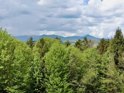 314 Campbell Road Morristown VT 05661