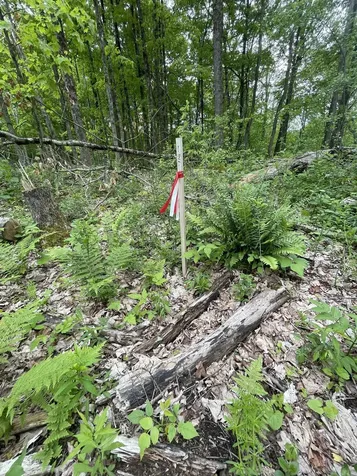 641 Camp Road Hubbardton VT 05733