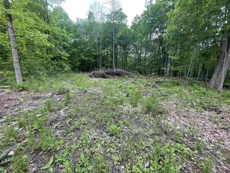 641 Camp Road Hubbardton VT 05733
