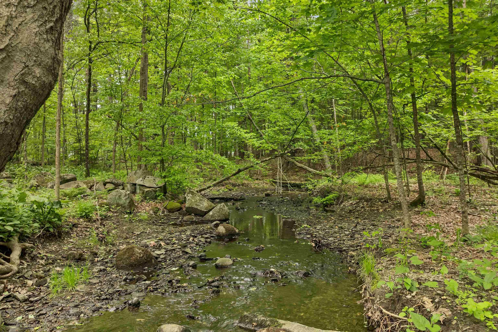 25 Kirriemuir Road Stratham NH 03885