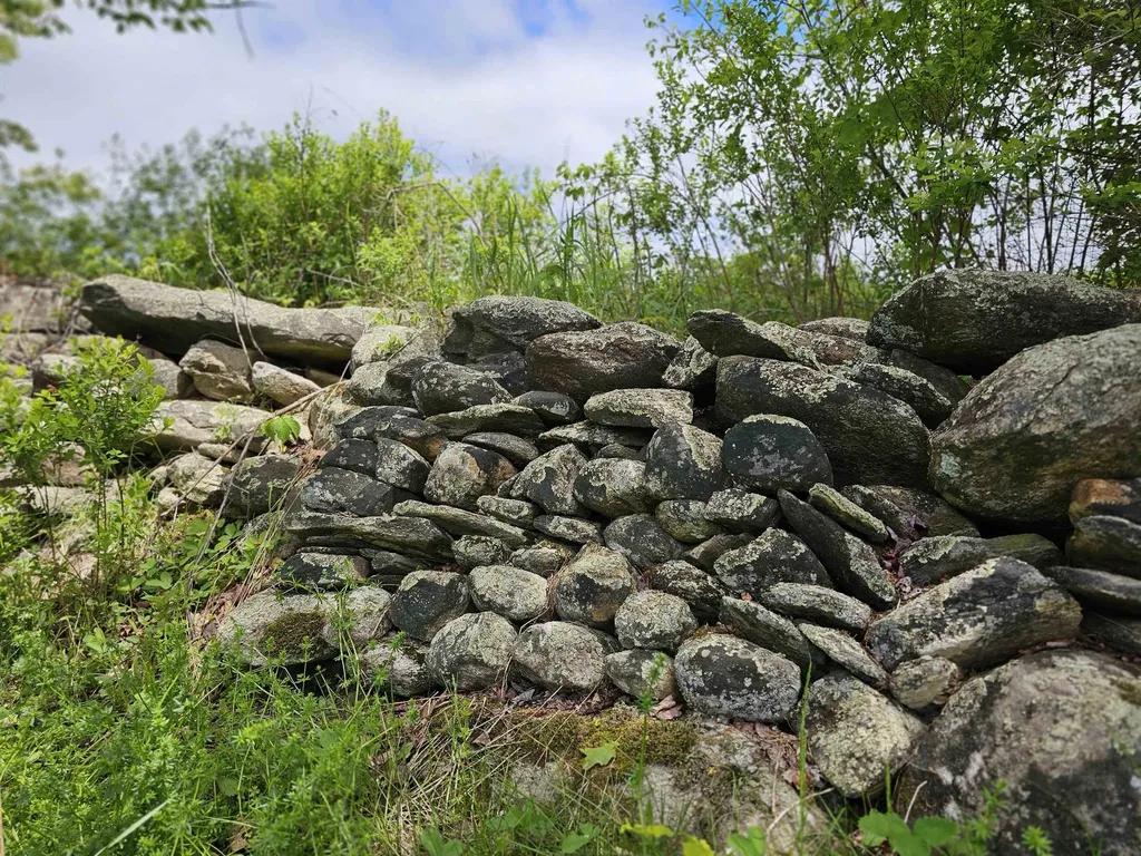 935 French Meadow Road Springfield VT 05156