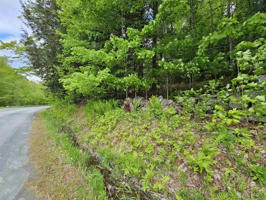 935 French Meadow Road Springfield VT 05156