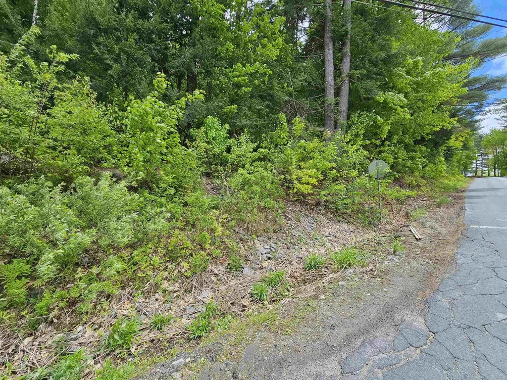 935 French Meadow Road Springfield VT 05156