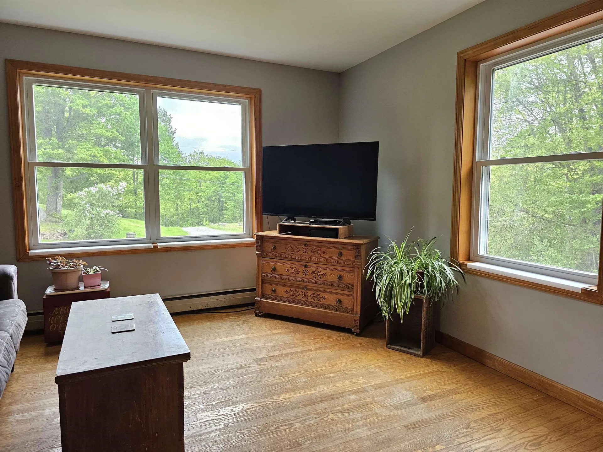 935 French Meadow Road Springfield VT 05156