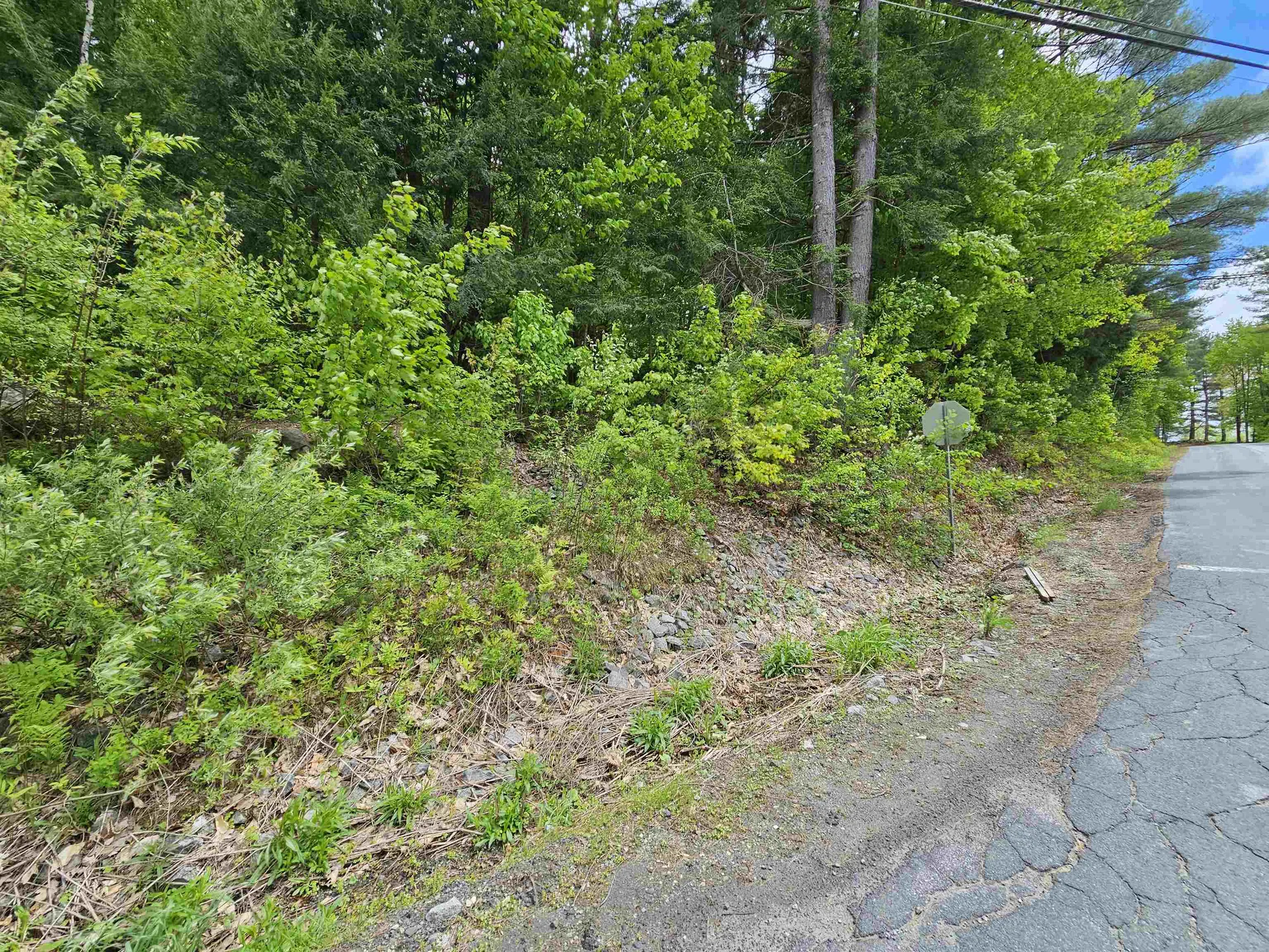 935 French Meadow Road Springfield VT 05156