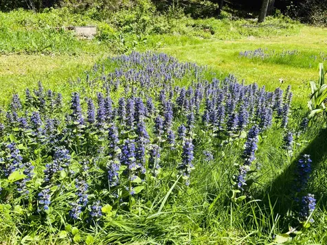 672 Huckle Hill Road Vernon VT 05354