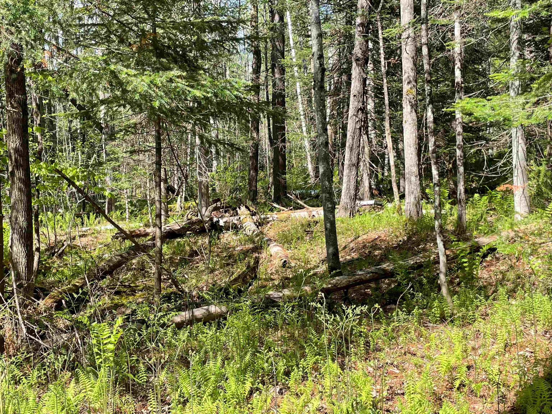 Map 202-lot 39 Parker Road Bethlehem NH 03574