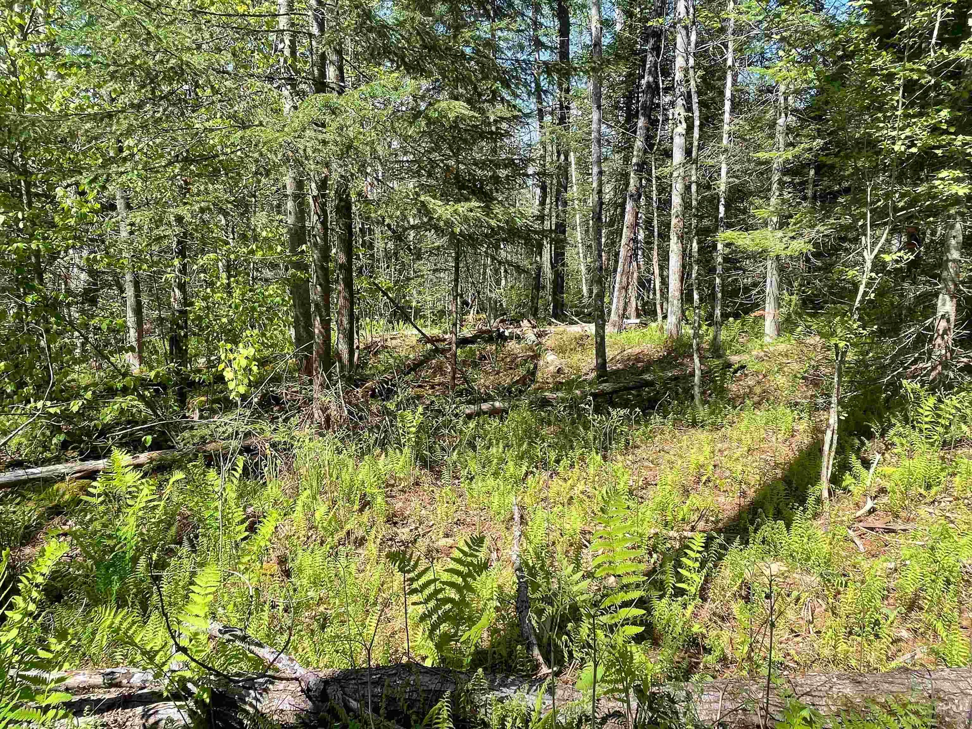 Map 202-lot 39 Parker Road Bethlehem NH 03574