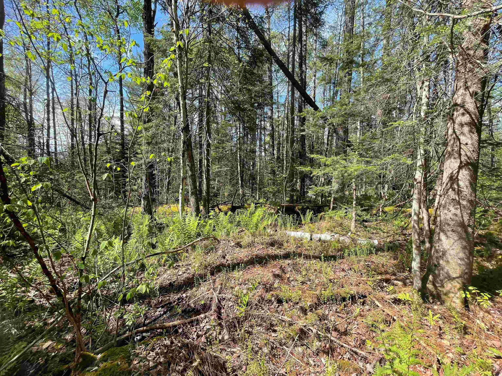 Map 202-lot 39 Parker Road Bethlehem NH 03574