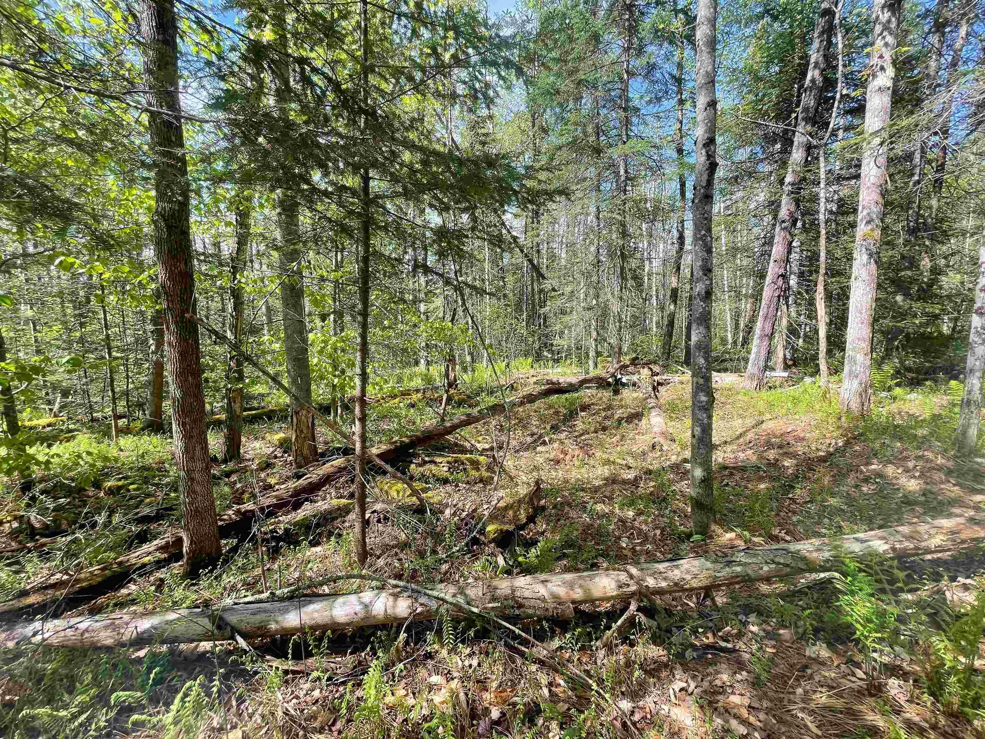 Map 202-lot 39 Parker Road Bethlehem NH 03574