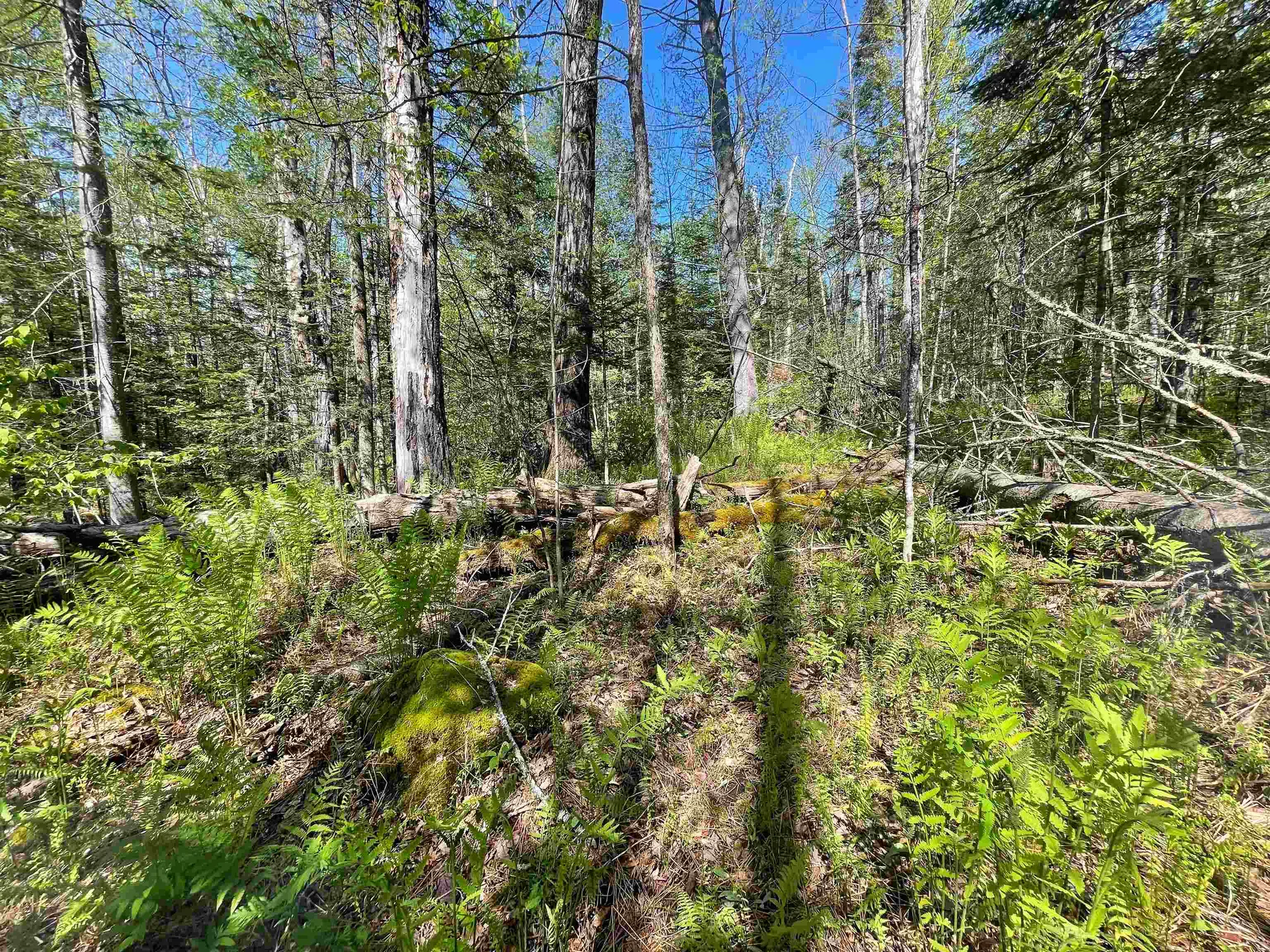 Map 202-lot 39 Parker Road Bethlehem NH 03574
