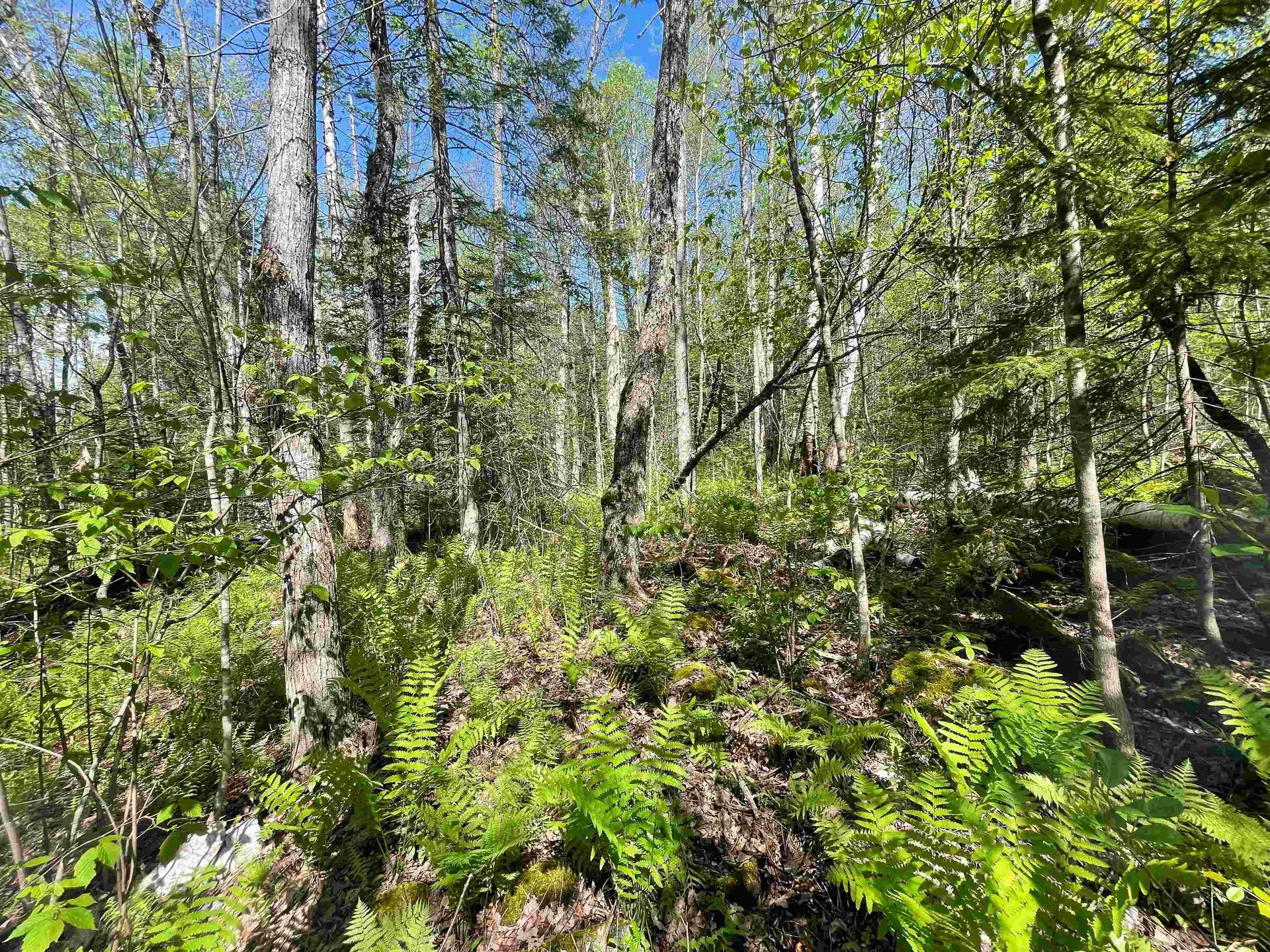 Map 202-lot 39 Parker Road Bethlehem NH 03574