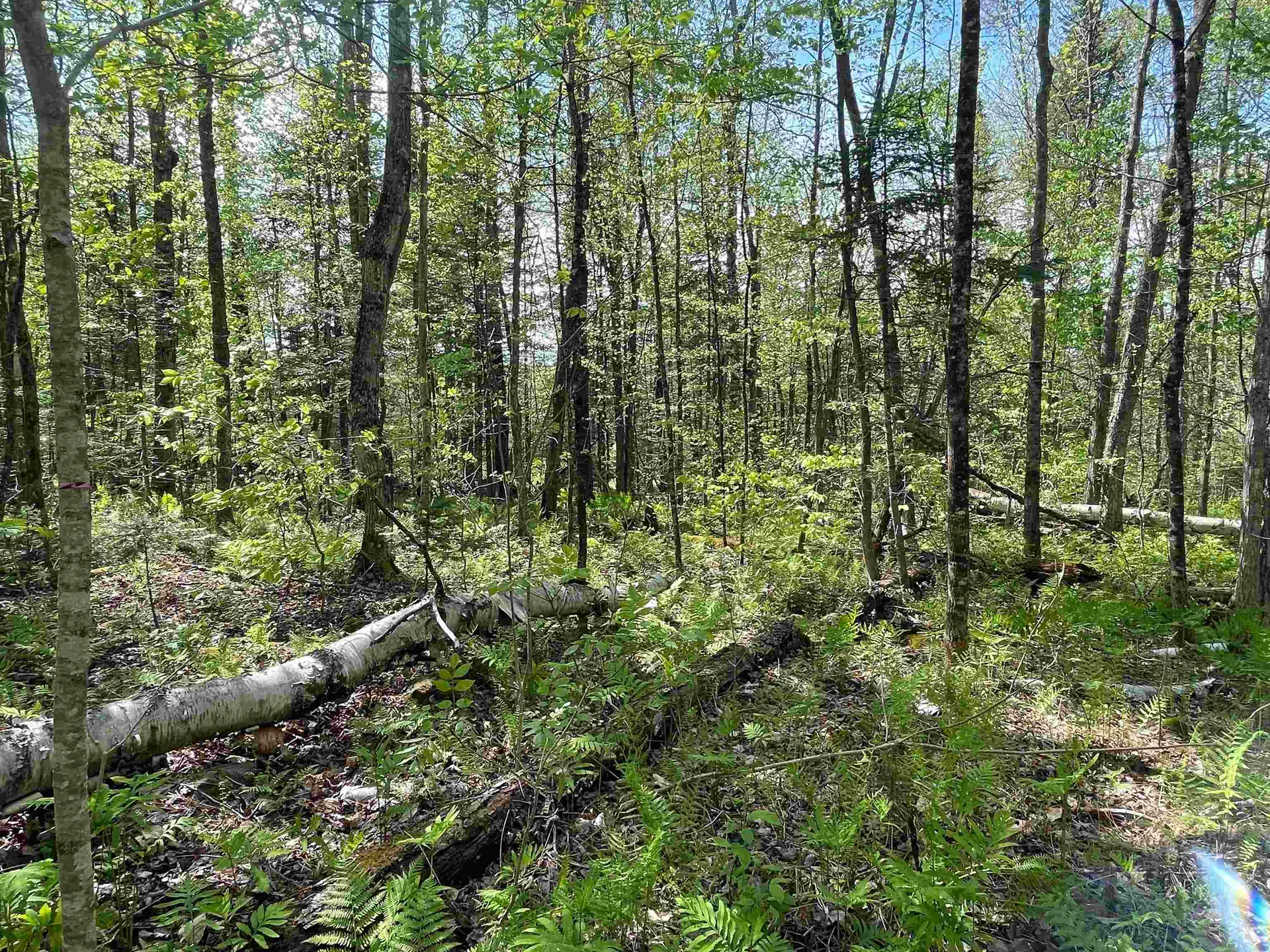 Map 202-lot 39 Parker Road Bethlehem NH 03574