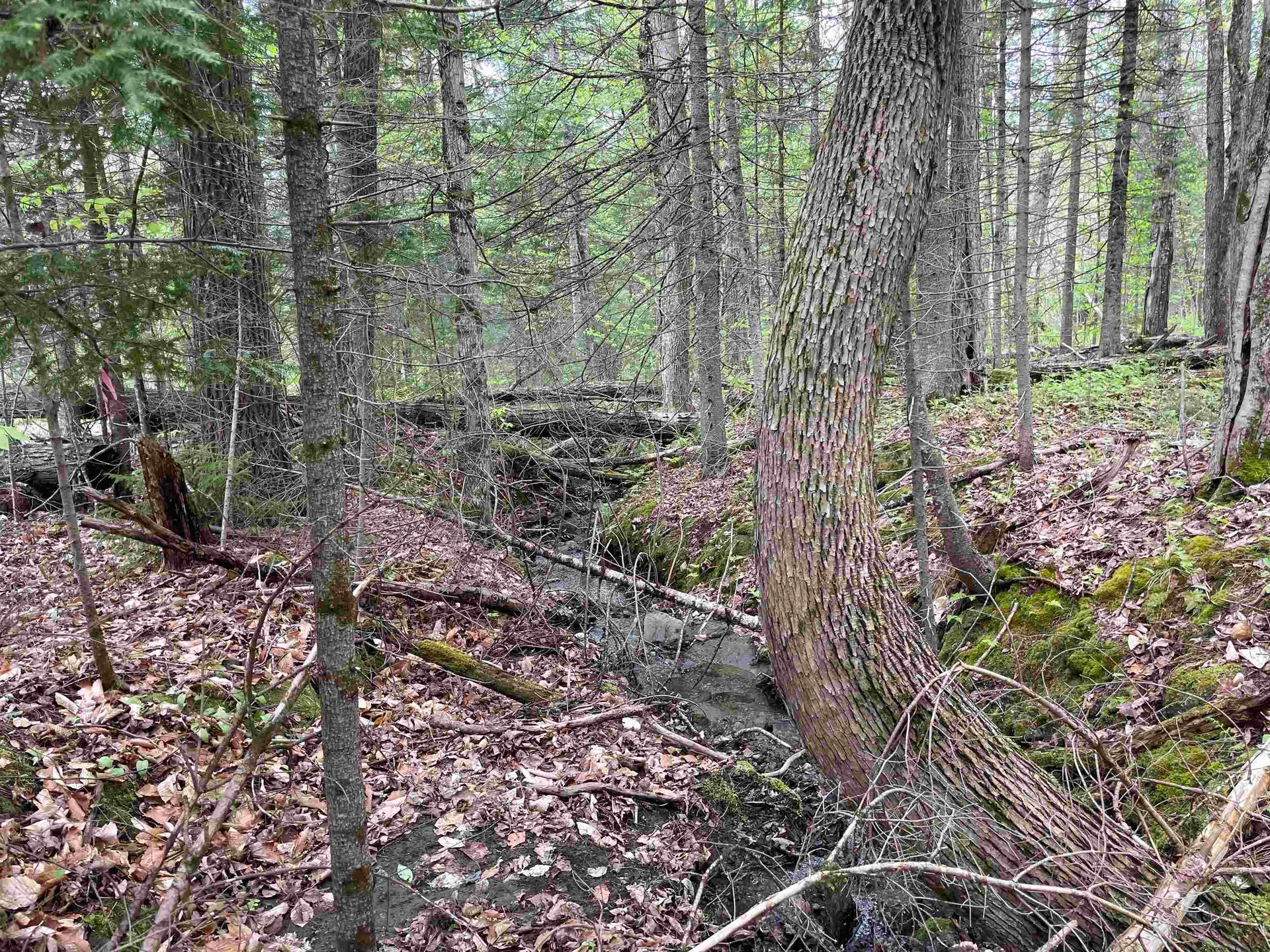 Map 202-lot 39 Parker Road Bethlehem NH 03574