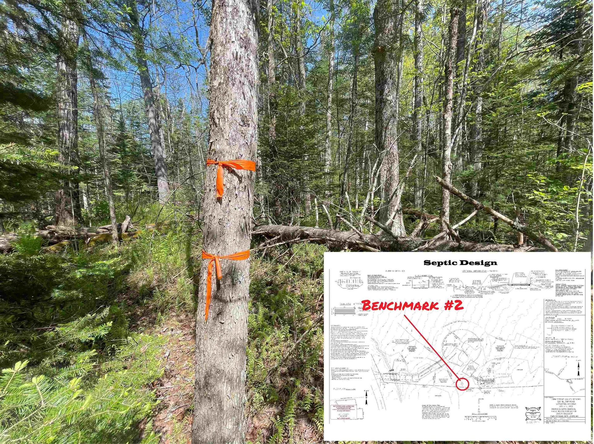 Map 202-lot 39 Parker Road Bethlehem NH 03574