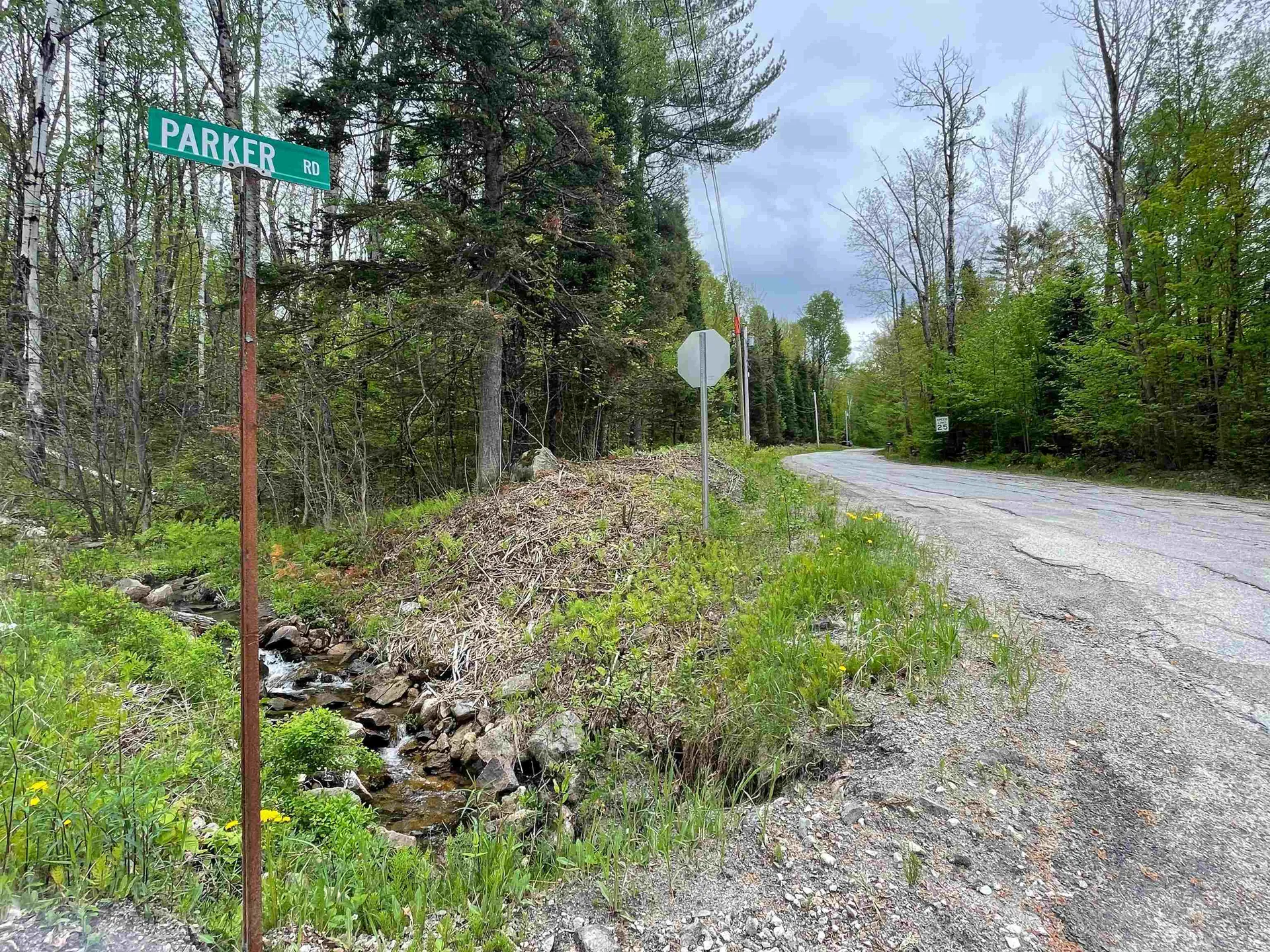 Map 202-lot 39 Parker Road Bethlehem NH 03574