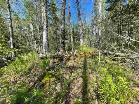 Map 202-lot 39 Parker Road Bethlehem NH 03574