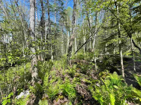 Map 202-lot 39 Parker Road Bethlehem NH 03574