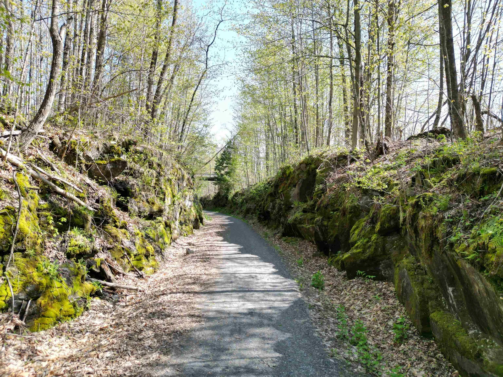 0 Penny Lane Danville VT 05828