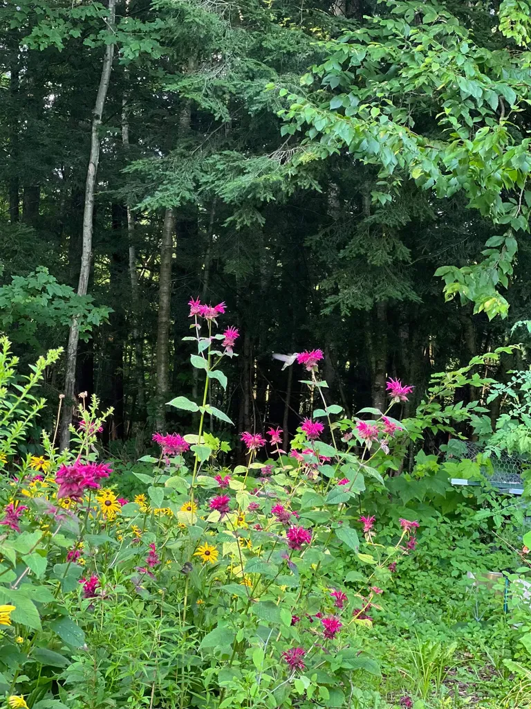 75 Wallis Woods Road Waitsfield VT 05673