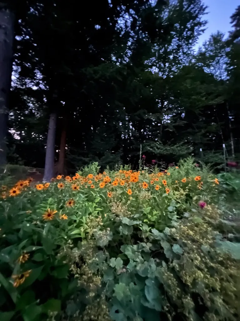 75 Wallis Woods Road Waitsfield VT 05673