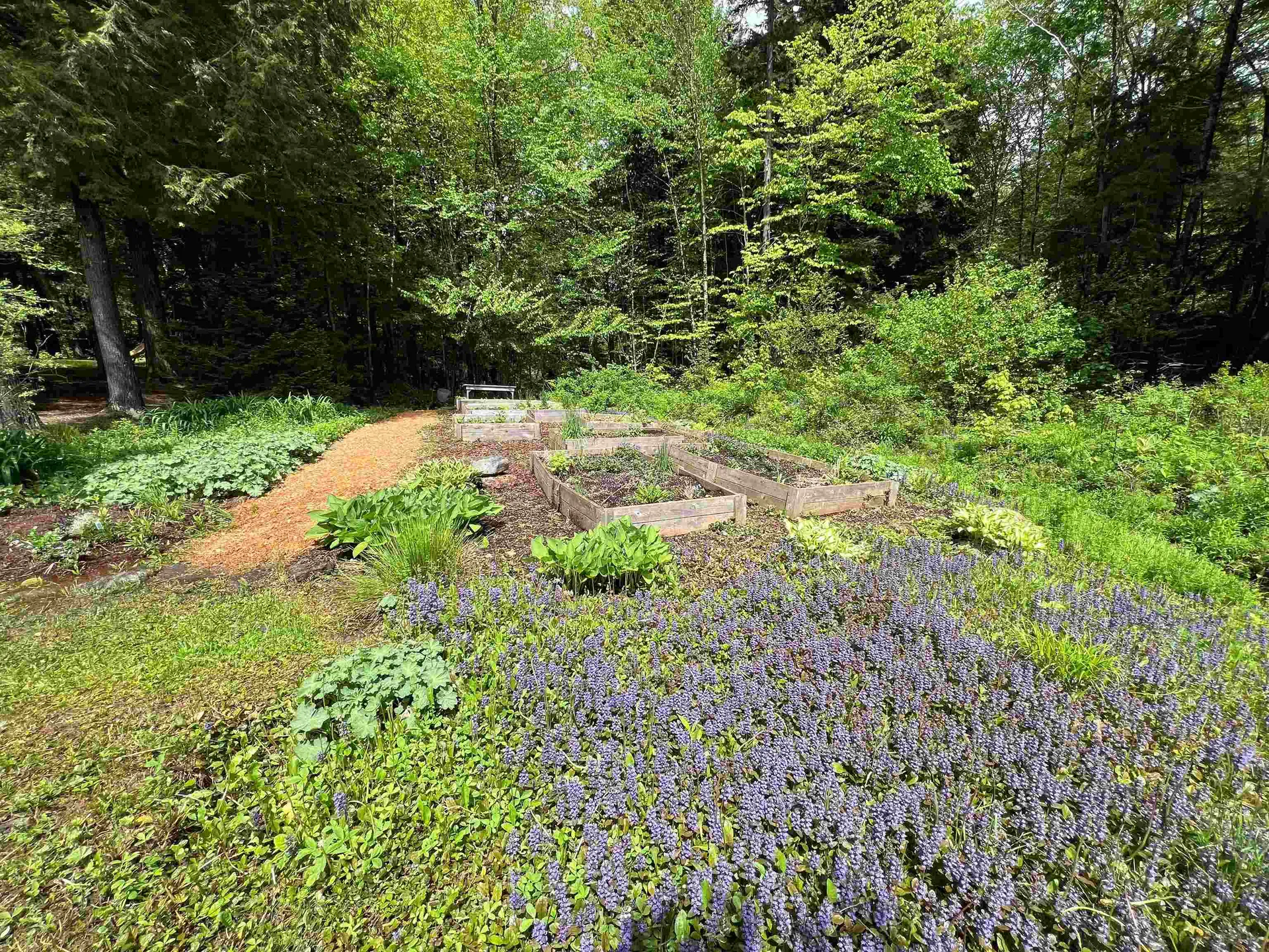 75 Wallis Woods Road Waitsfield VT 05673