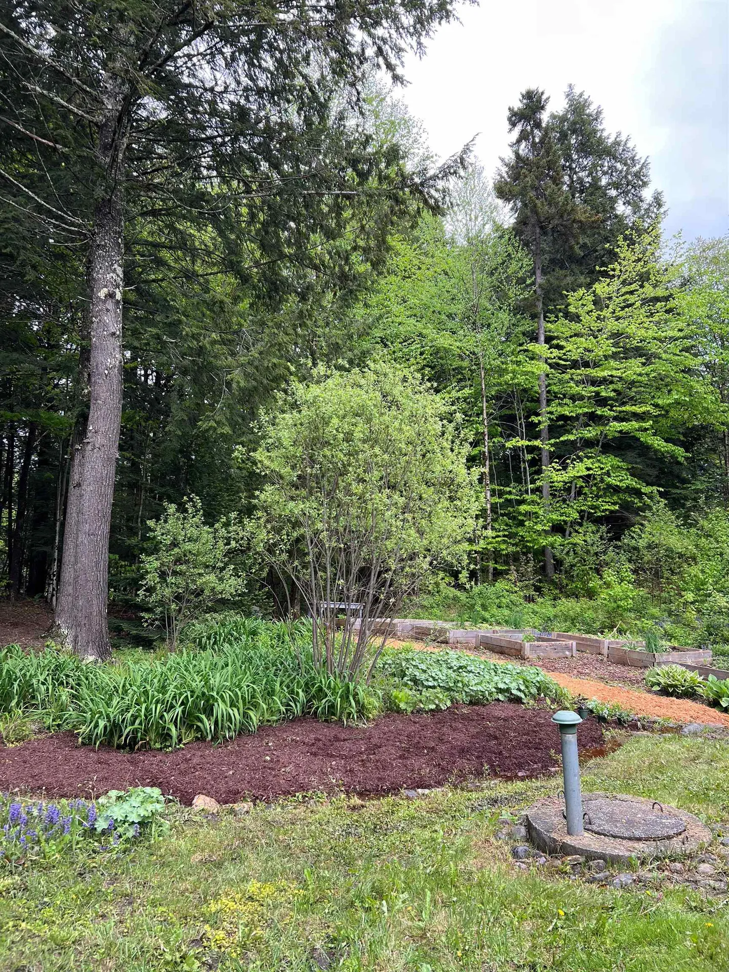 75 Wallis Woods Road Waitsfield VT 05673