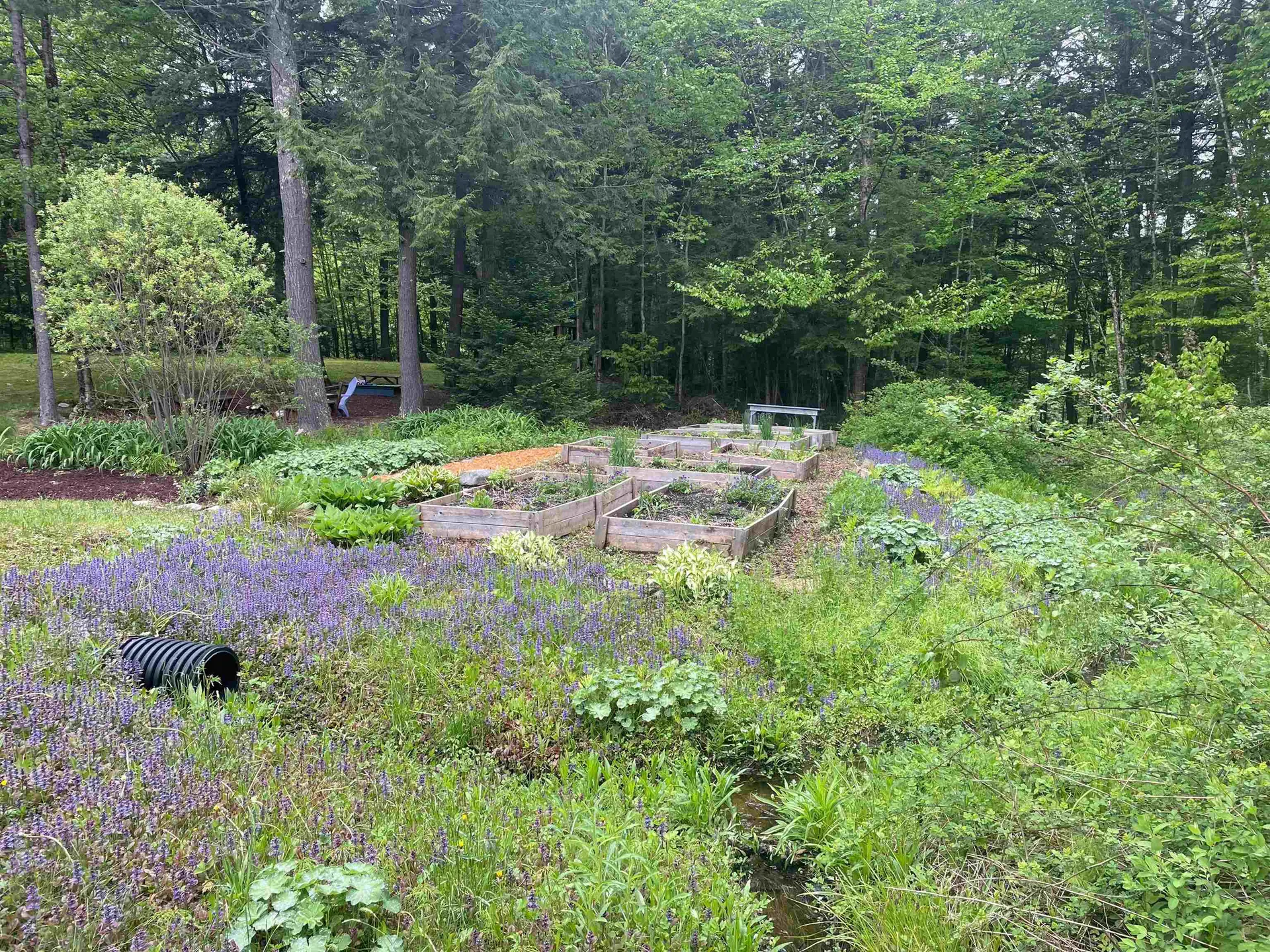 75 Wallis Woods Road Waitsfield VT 05673