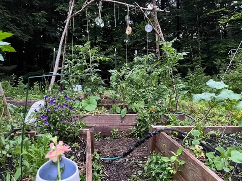 75 Wallis Woods Road Waitsfield VT 05673