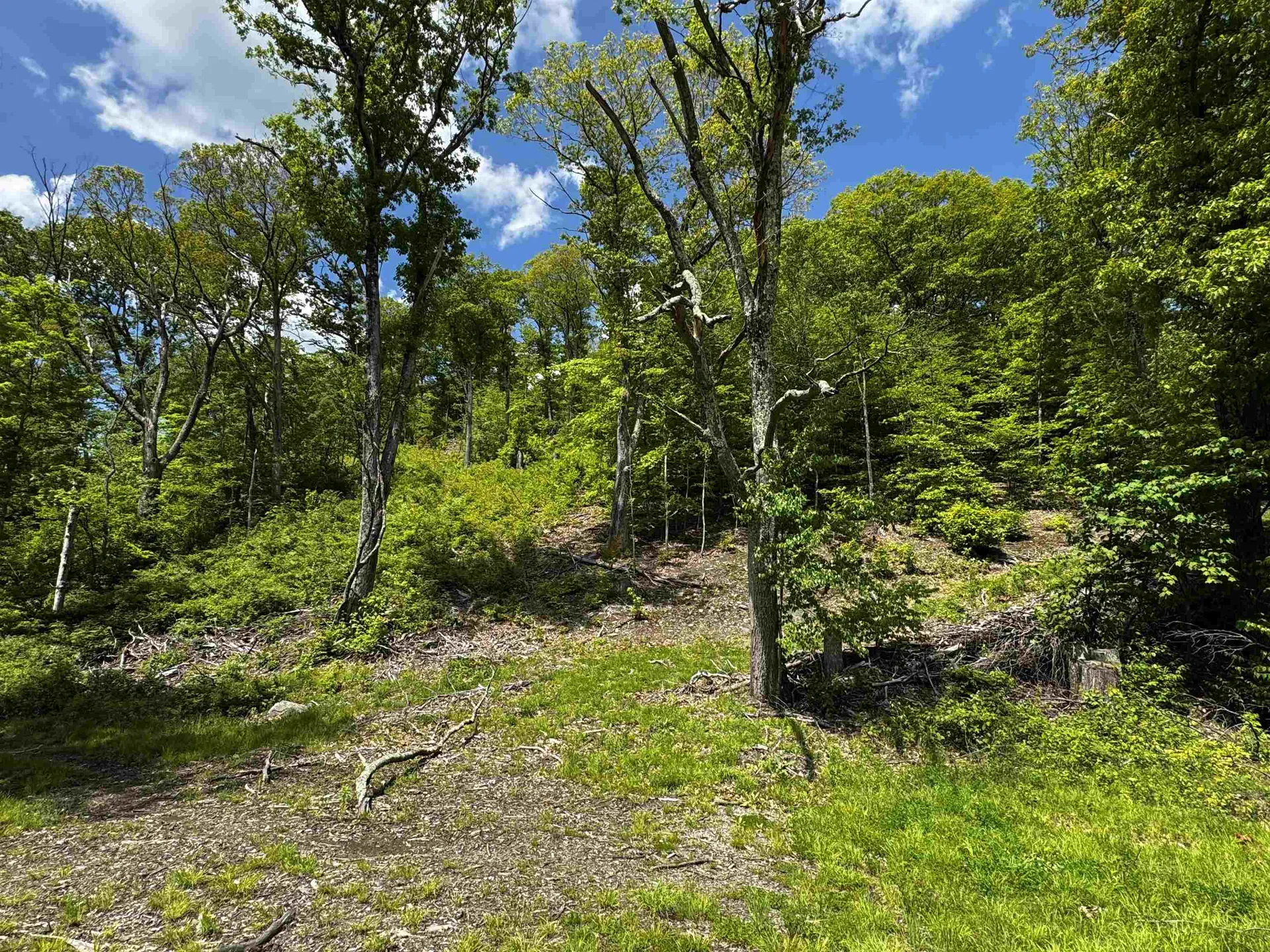 0 West Sandgate/ Sandgate Road Sandgate VT 05250