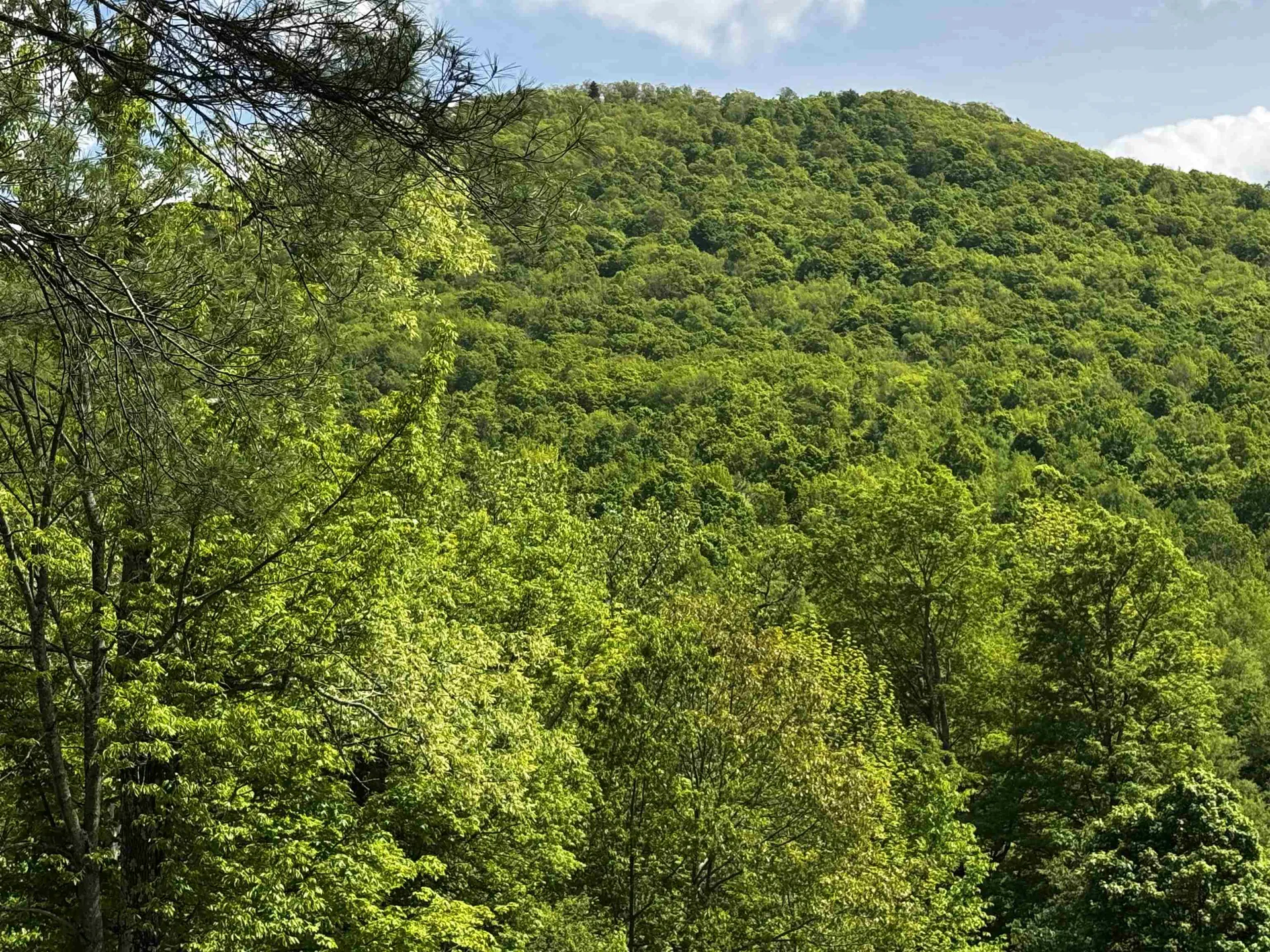 0 West Sandgate/ Sandgate Road Sandgate VT 05250