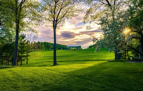 141 Pheasant Hill Road Shelburne VT 05482